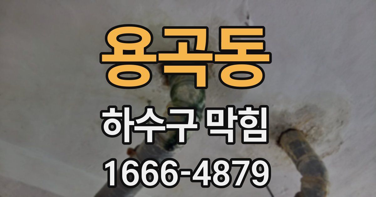 용곡동 하수구 막힘