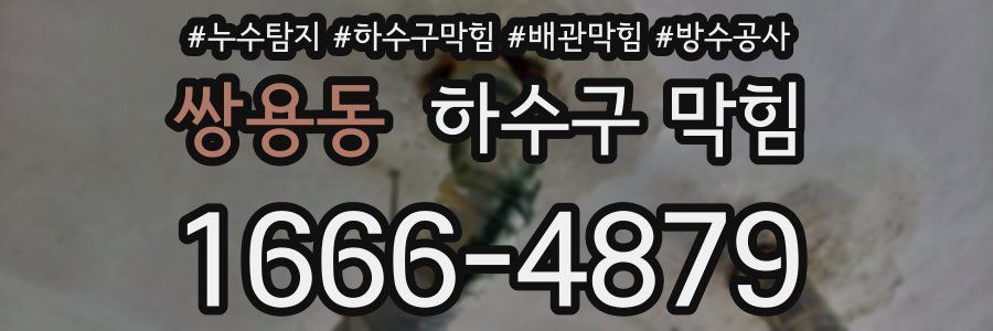 쌍용동 하수구 막힘