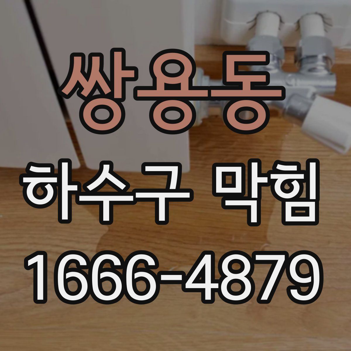 쌍용동 하수구 막힘