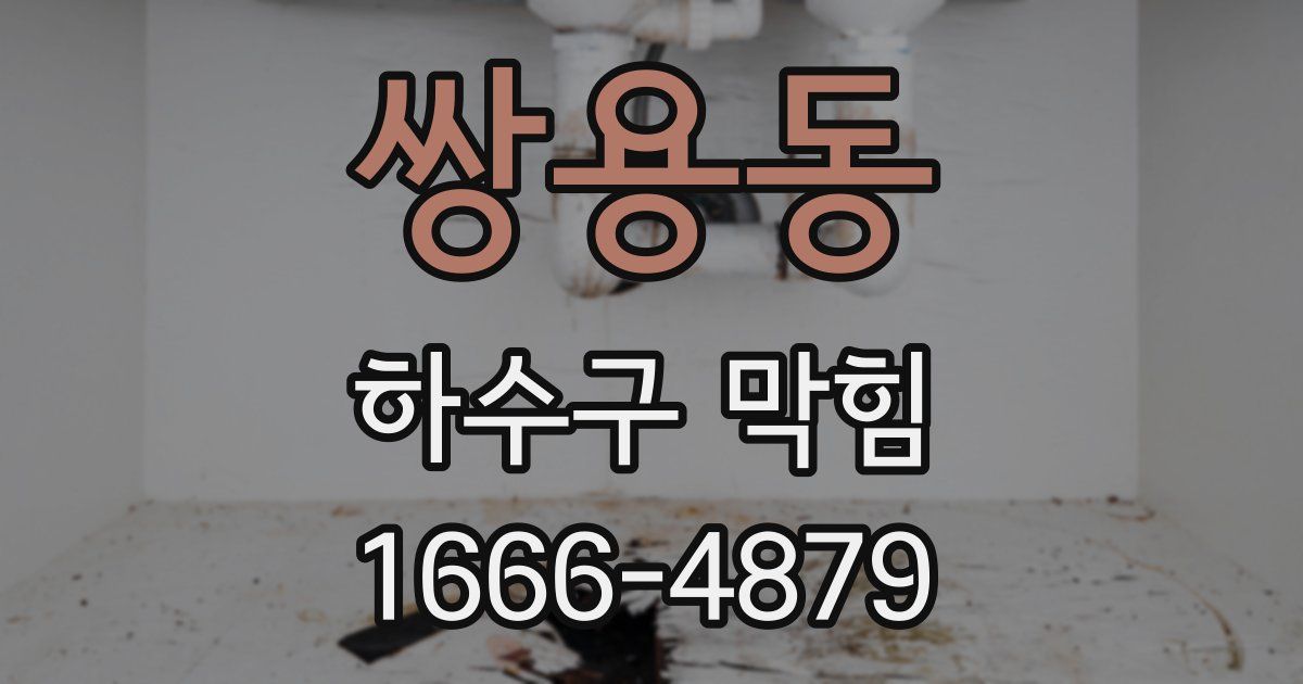 쌍용동 하수구 막힘