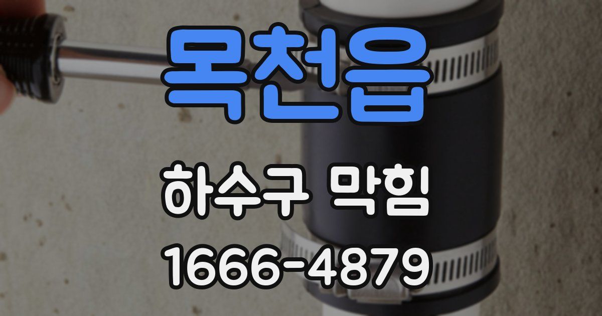 목천읍 하수구 막힘