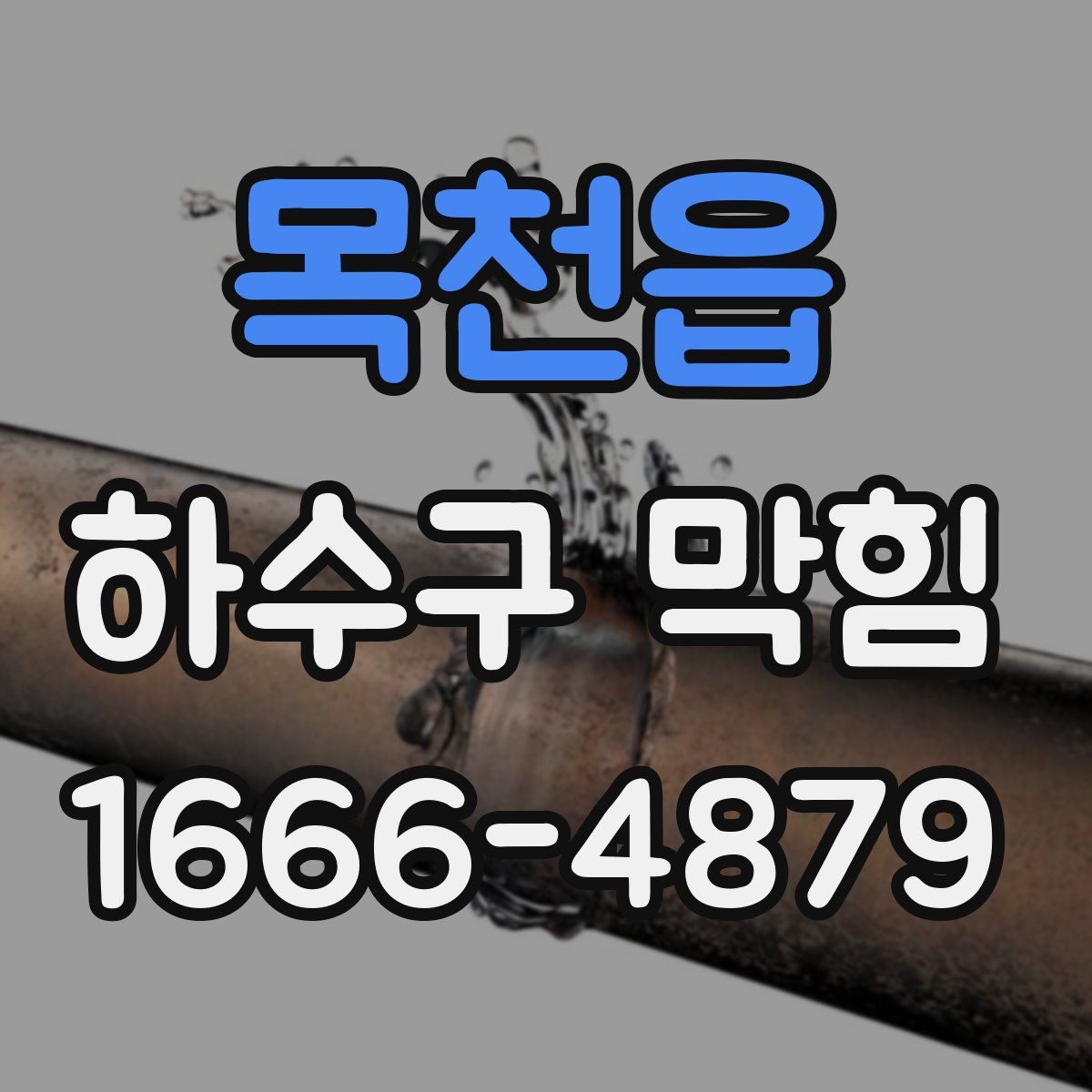 목천읍 하수구 막힘