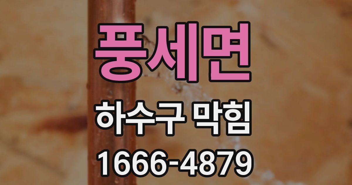 풍세면 하수구 막힘