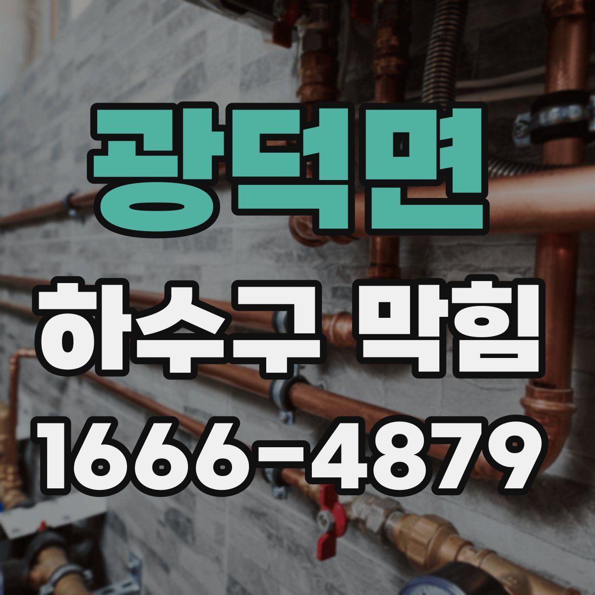 광덕면 하수구 막힘