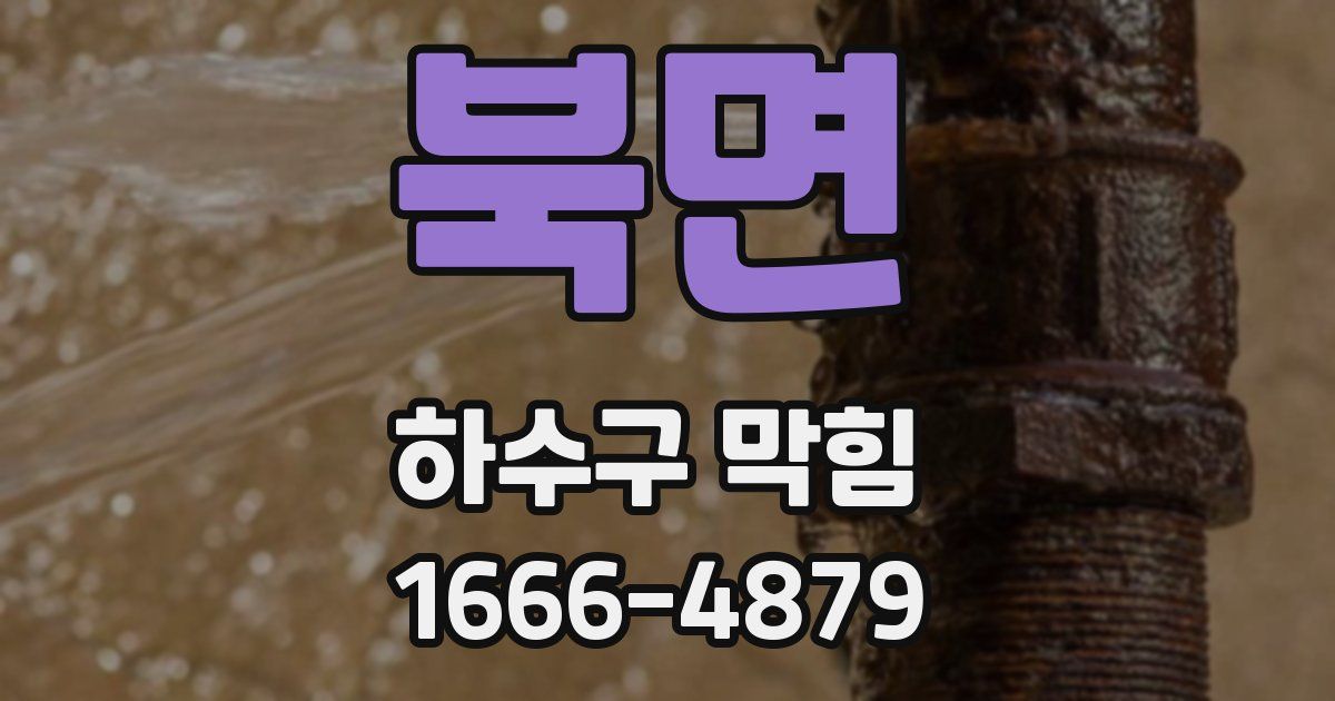 북면 하수구 막힘