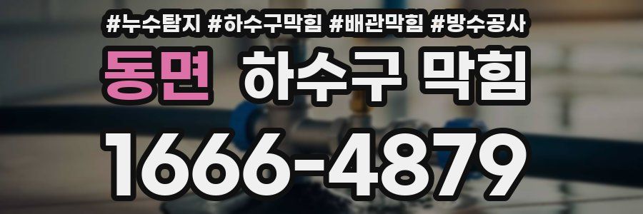 동면 하수구 막힘