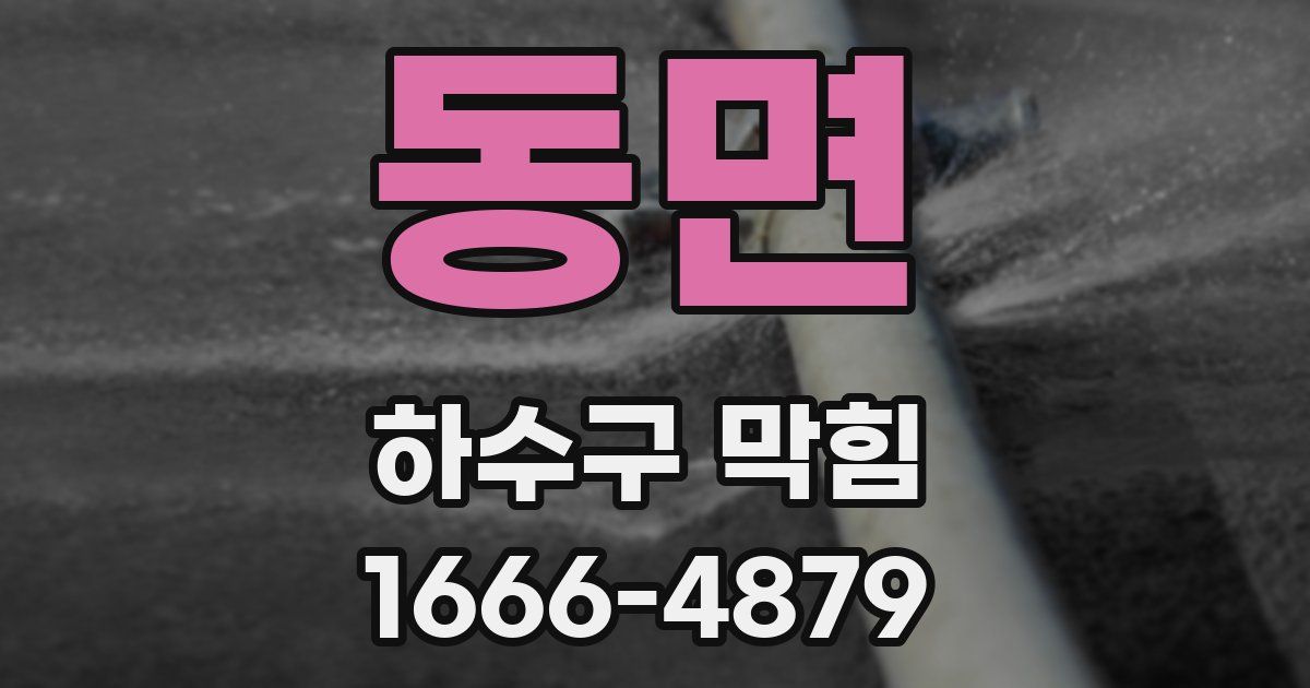 동면 하수구 막힘