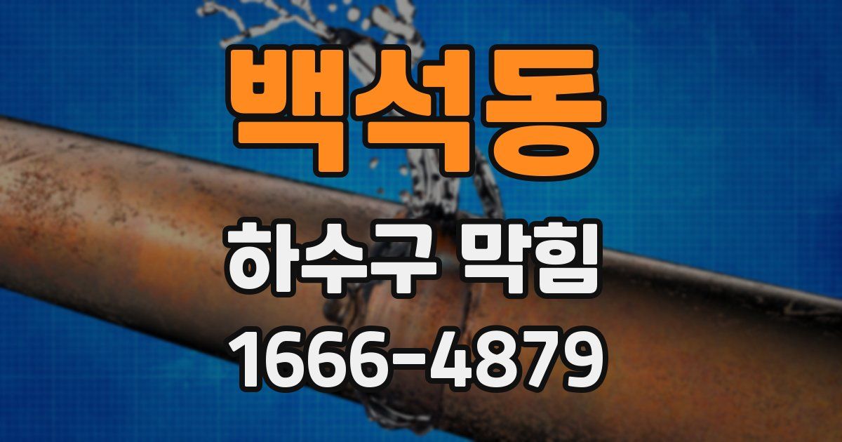 백석동 하수구 막힘
