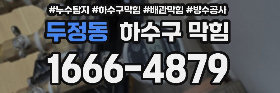 두정동 하수구 막힘