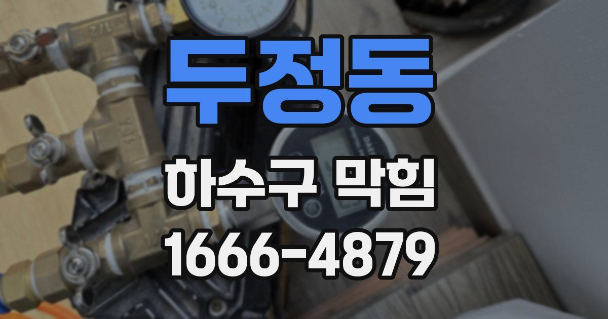 두정동 하수구 막힘