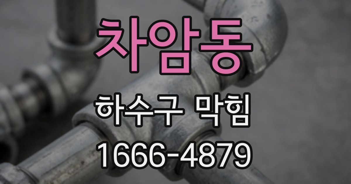 차암동 하수구 막힘