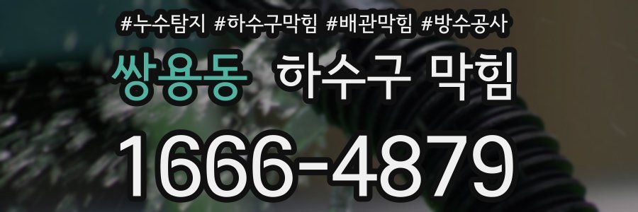 쌍용동 하수구 막힘