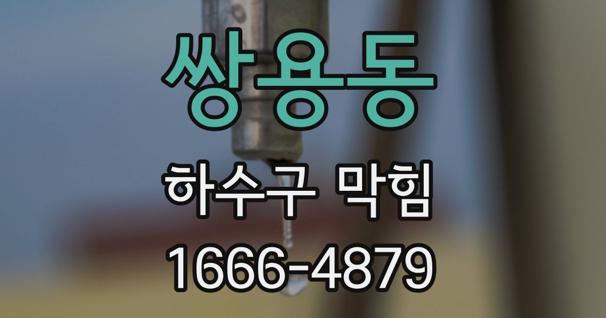 쌍용동 하수구 막힘