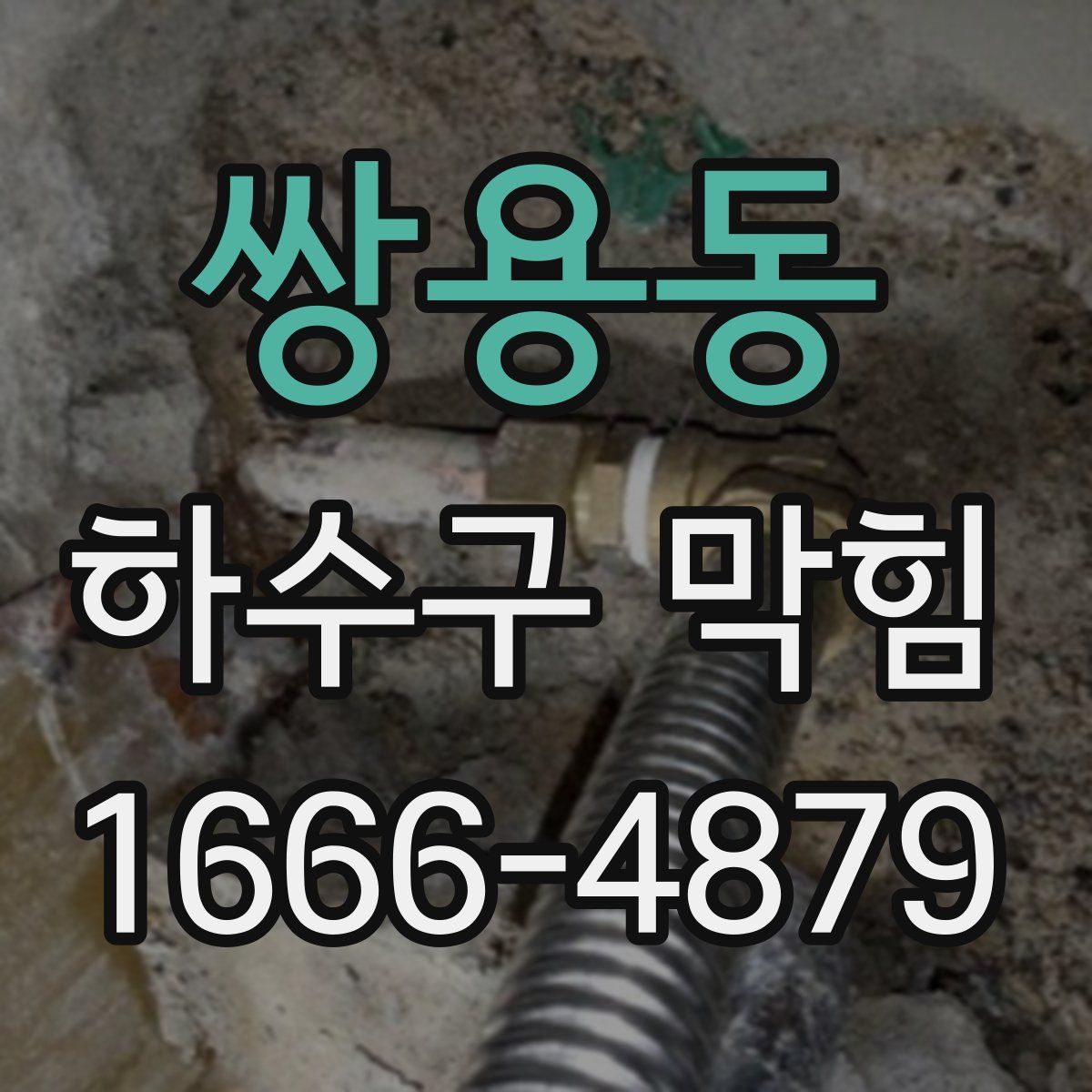 쌍용동 하수구 막힘