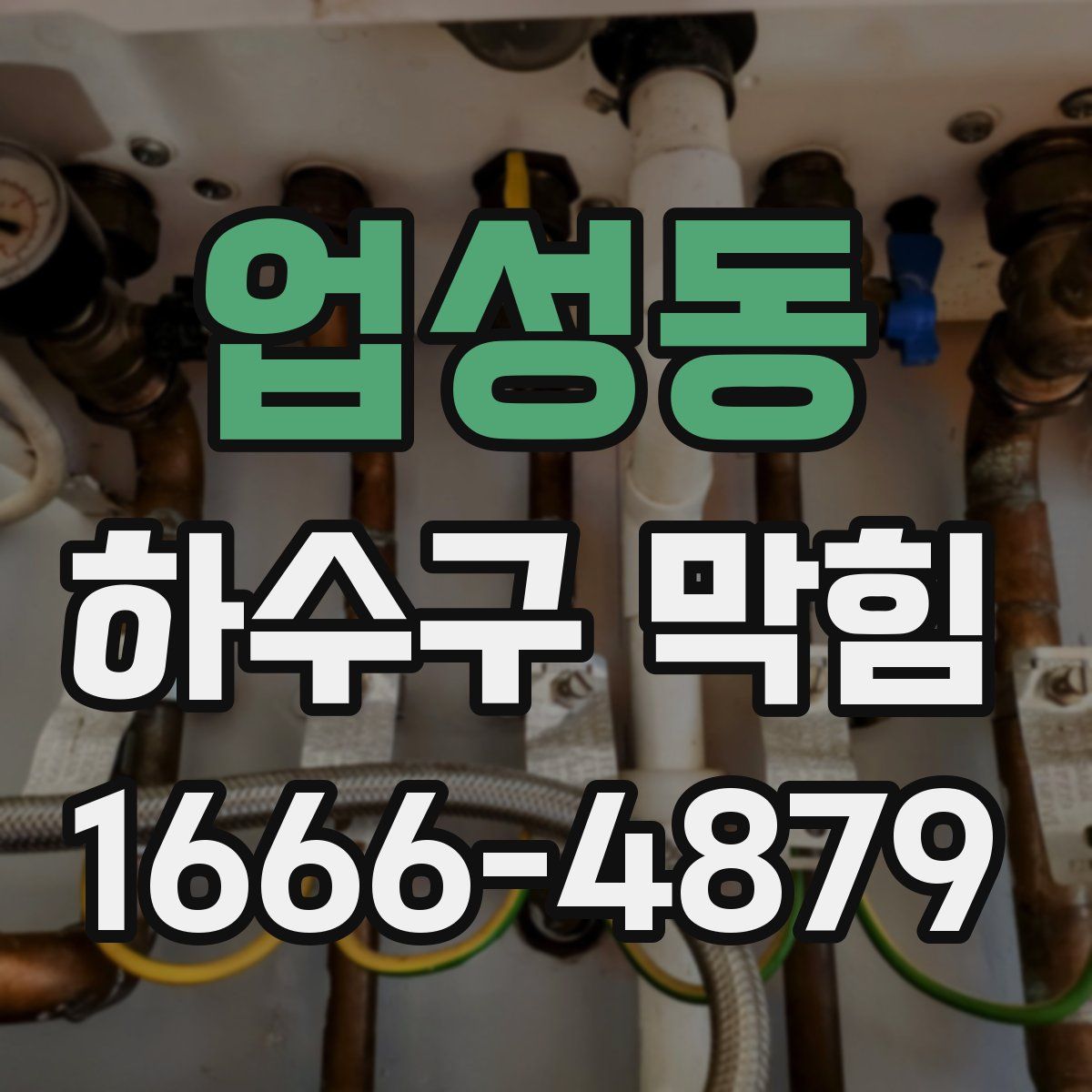 업성동 하수구 막힘