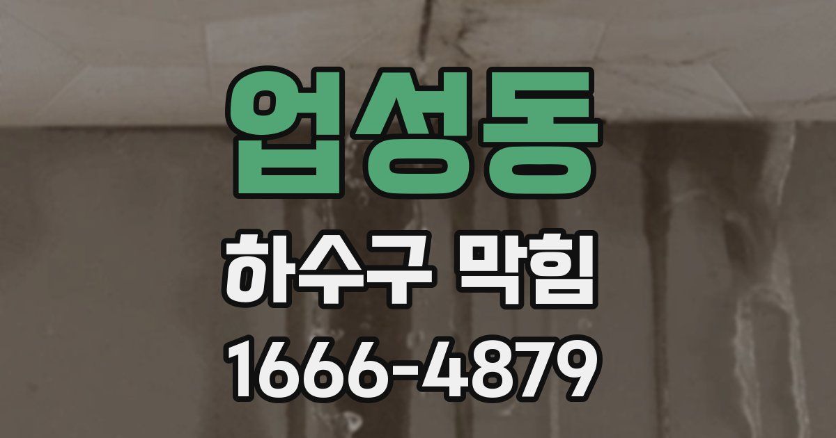 업성동 하수구 막힘