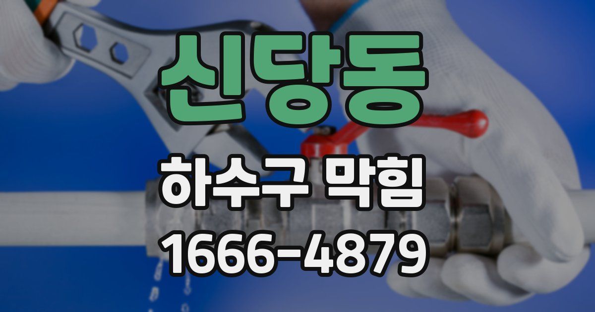 신당동 하수구 막힘