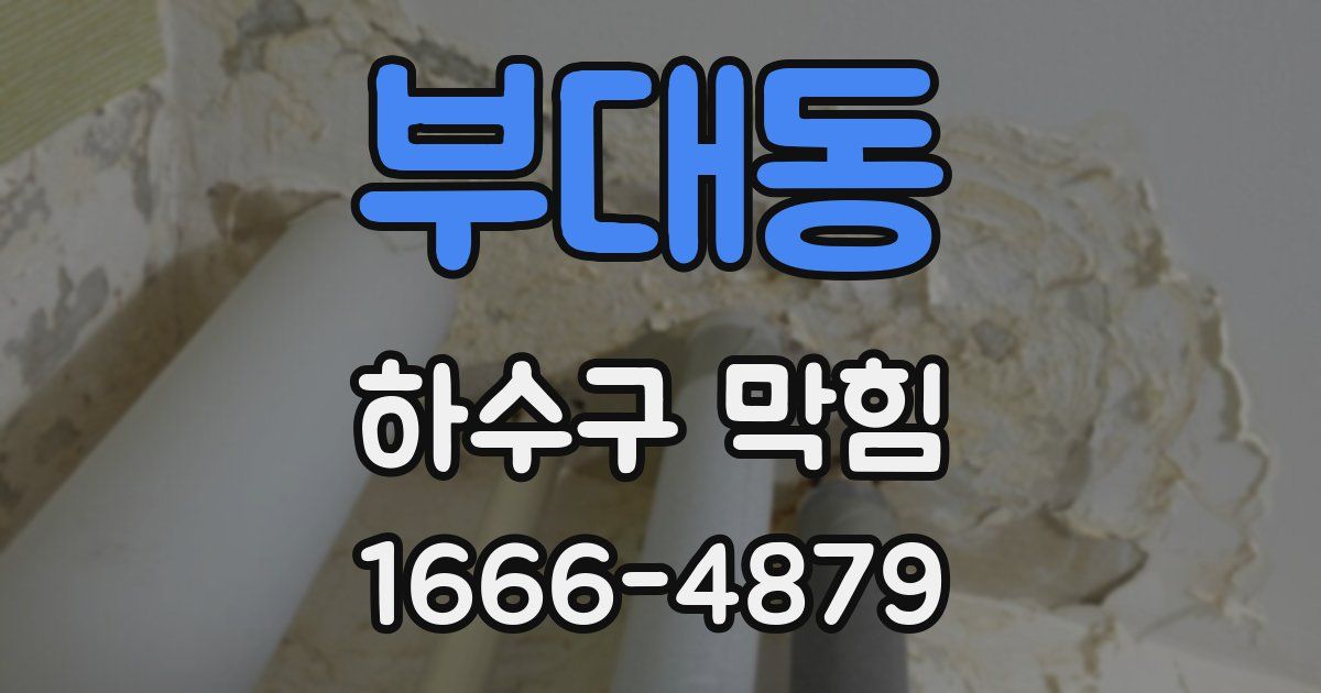 부대동 하수구 막힘