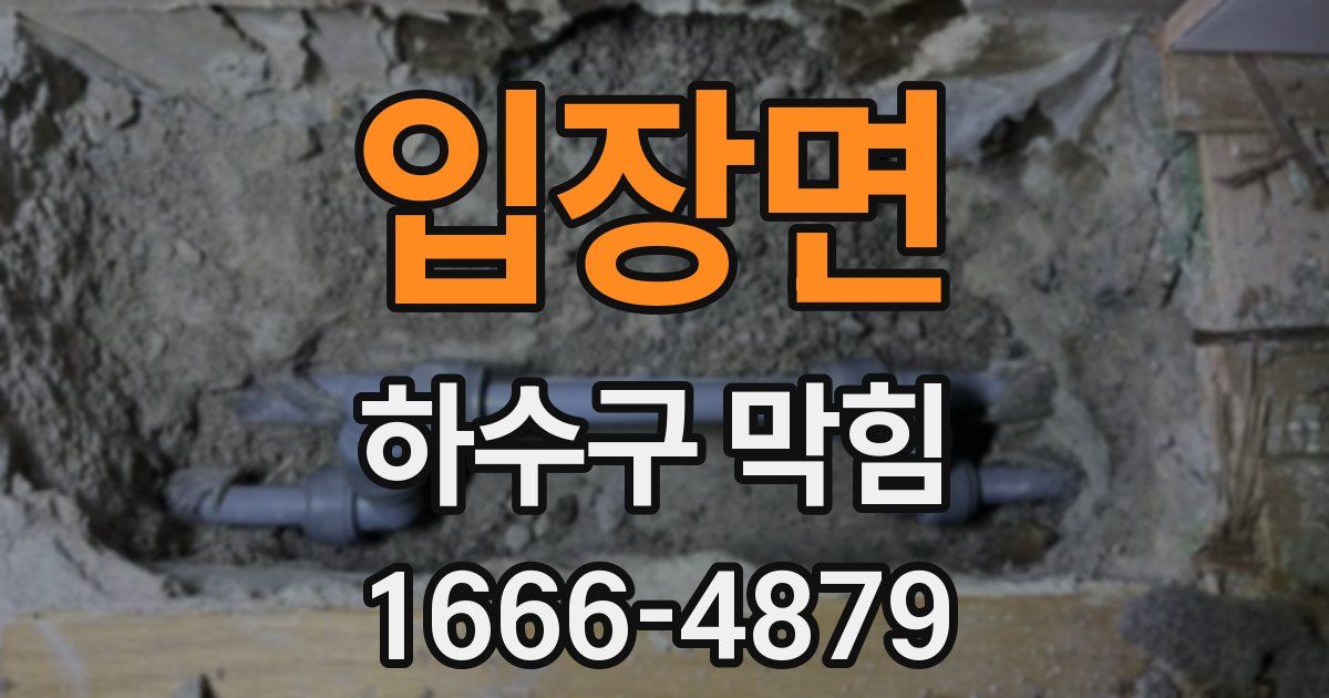 입장면 하수구 막힘