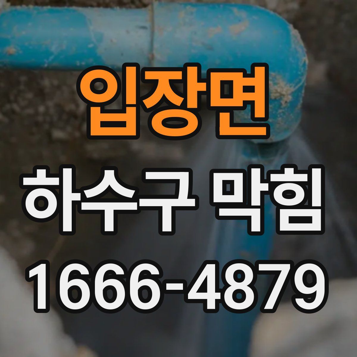 입장면 하수구 막힘