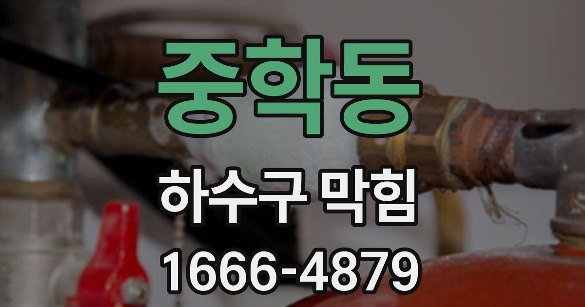 중학동 하수구 막힘