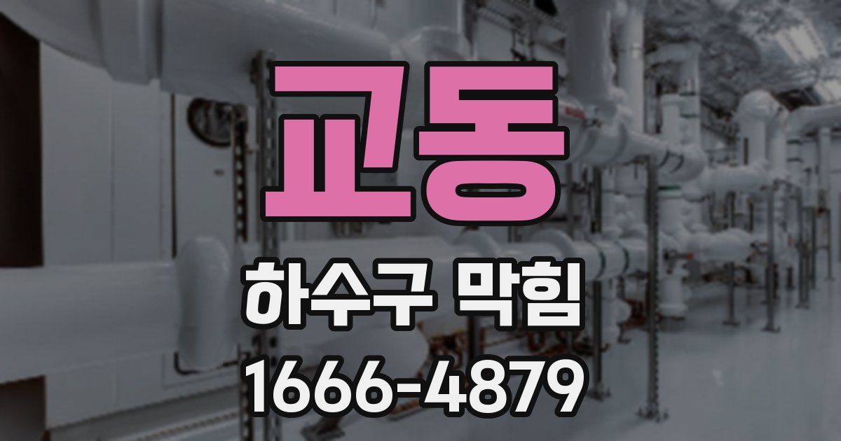 교동 하수구 막힘