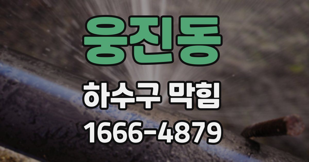웅진동 하수구 막힘