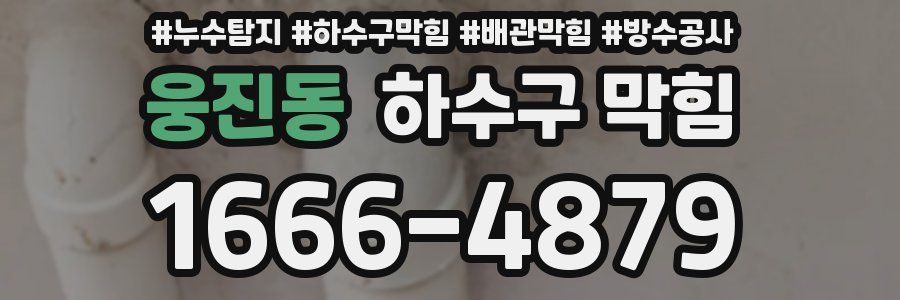 웅진동 하수구 막힘