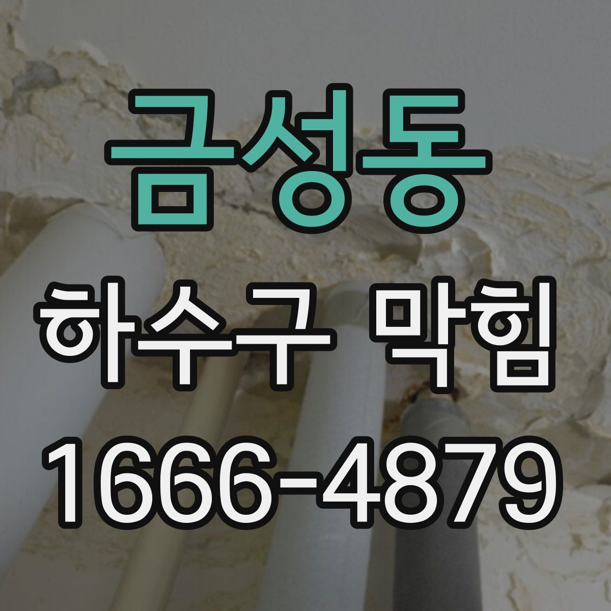 금성동 하수구 막힘