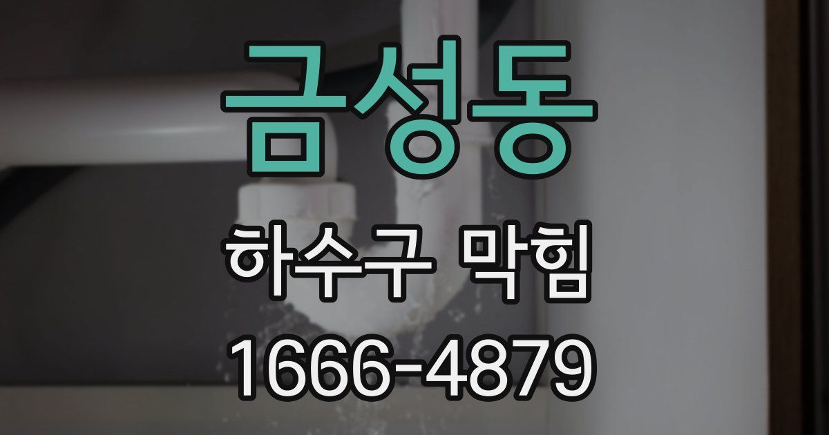 금성동 하수구 막힘