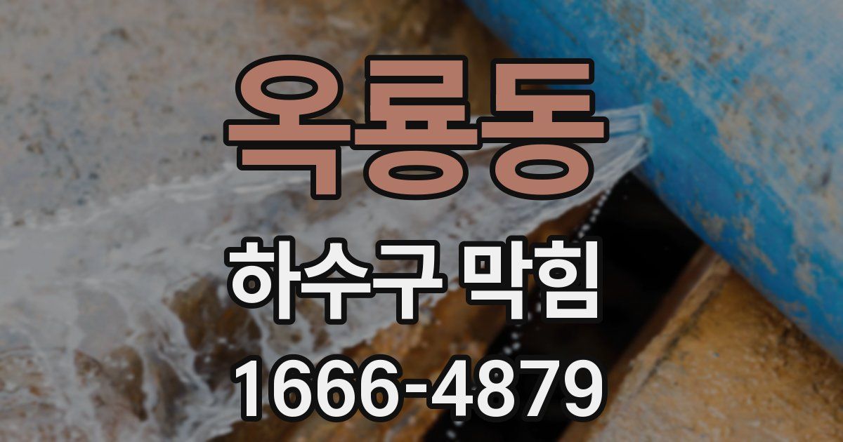 옥룡동 하수구 막힘