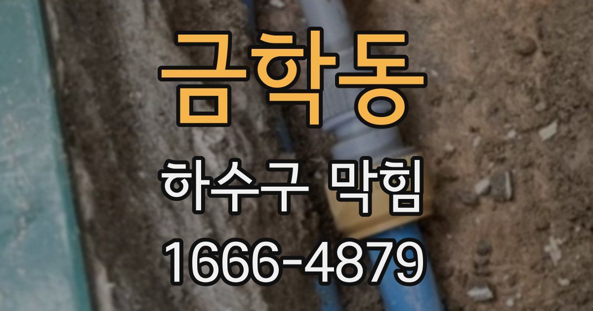 금학동 하수구 막힘