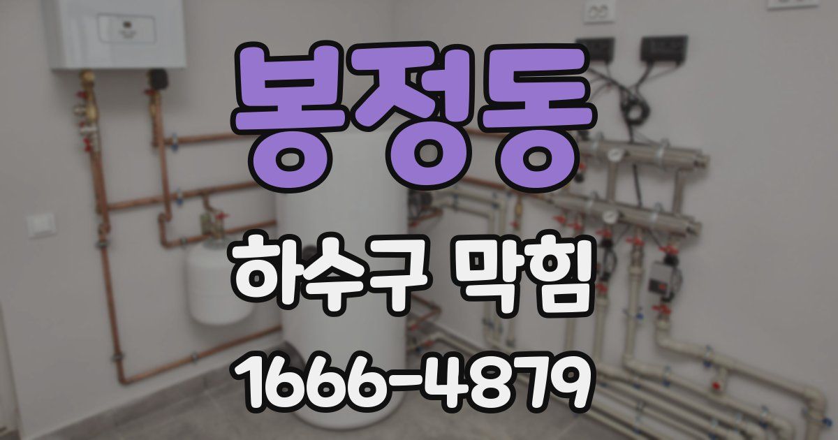 봉정동 하수구 막힘