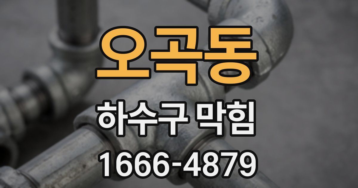 오곡동 하수구 막힘