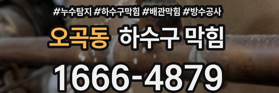 오곡동 하수구 막힘