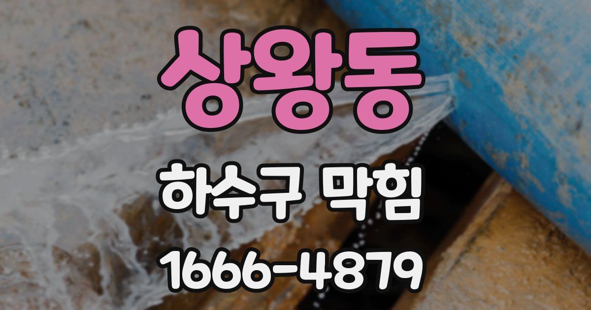 상왕동 하수구 막힘