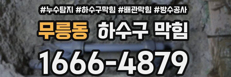 무릉동 하수구 막힘