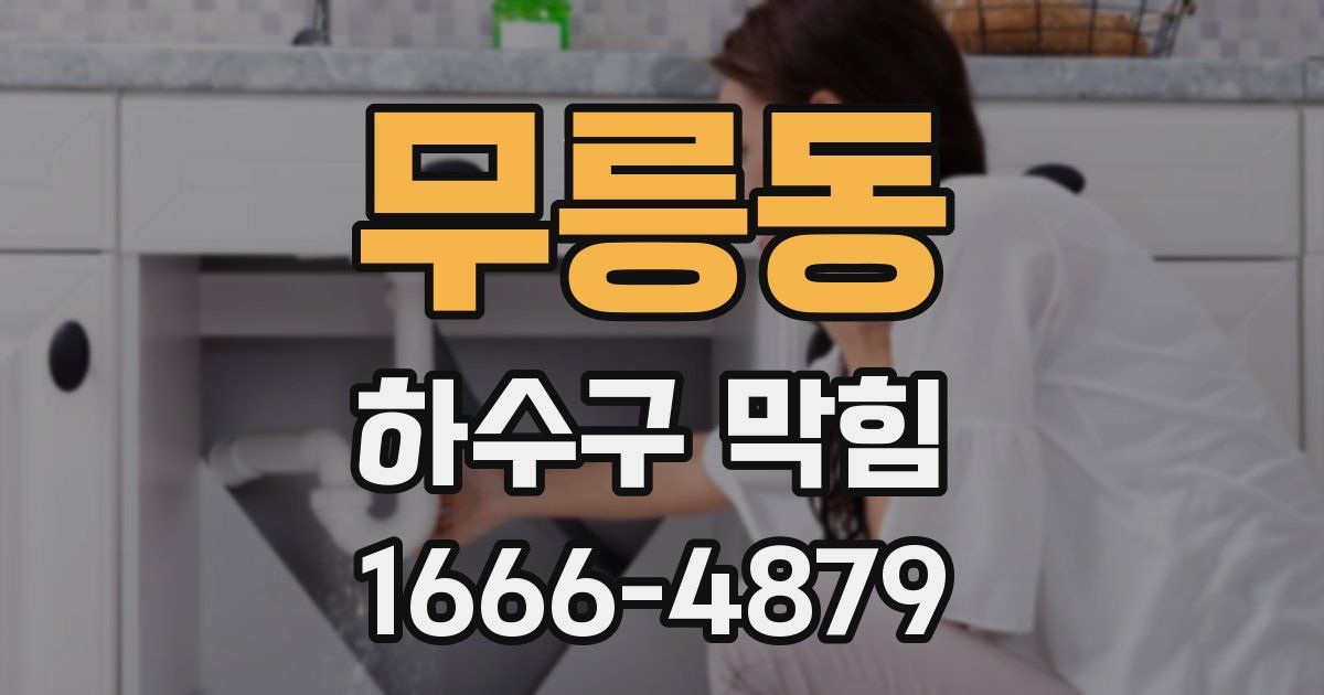 무릉동 하수구 막힘