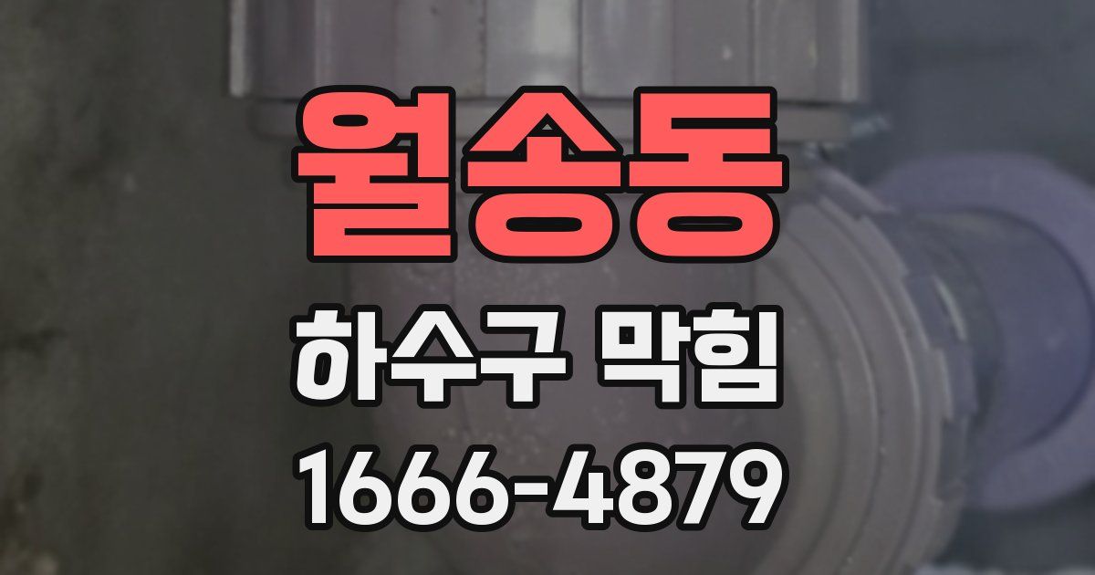 월송동 하수구 막힘