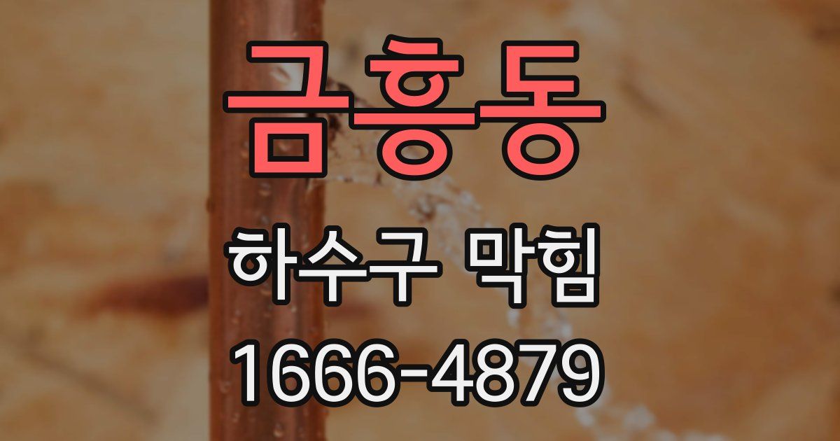 금흥동 하수구 막힘