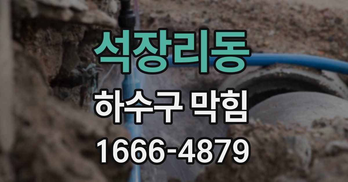 석장리동 하수구 막힘
