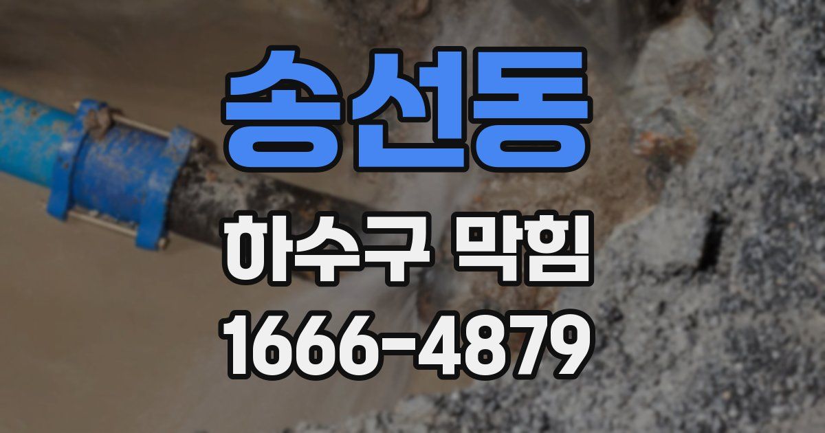 송선동 하수구 막힘