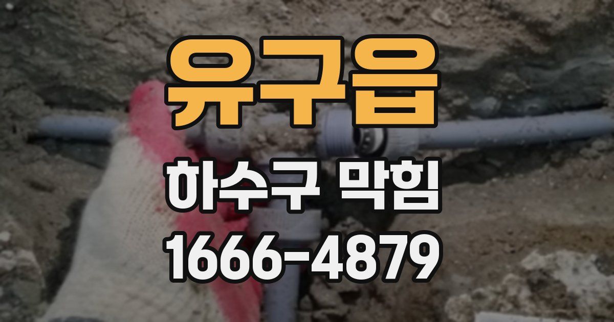 유구읍 하수구 막힘