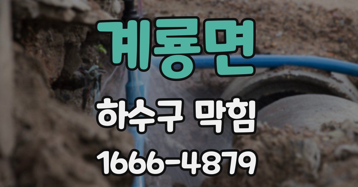 계룡면 하수구 막힘