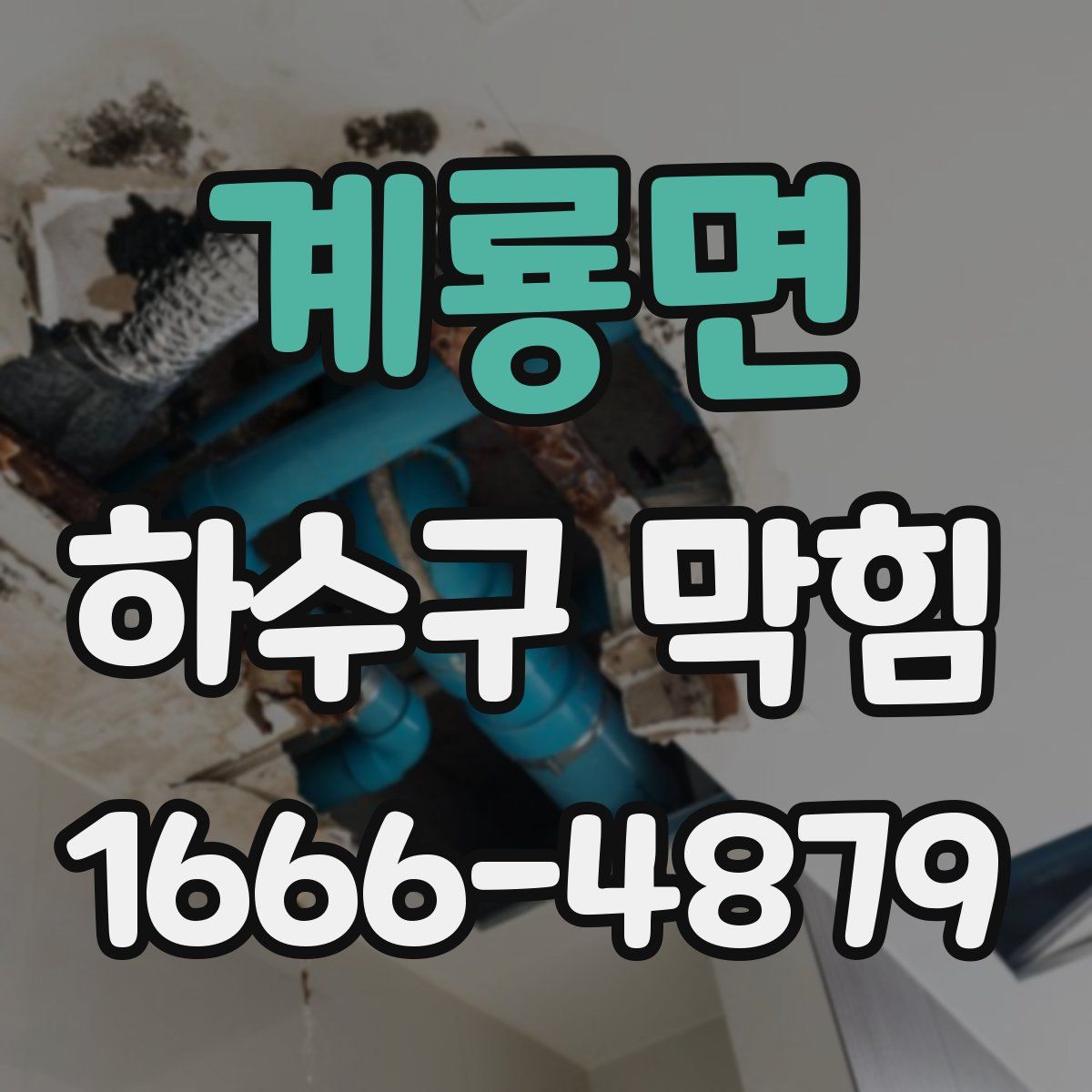 계룡면 하수구 막힘