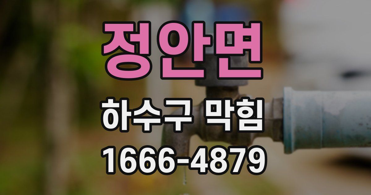 정안면 하수구 막힘