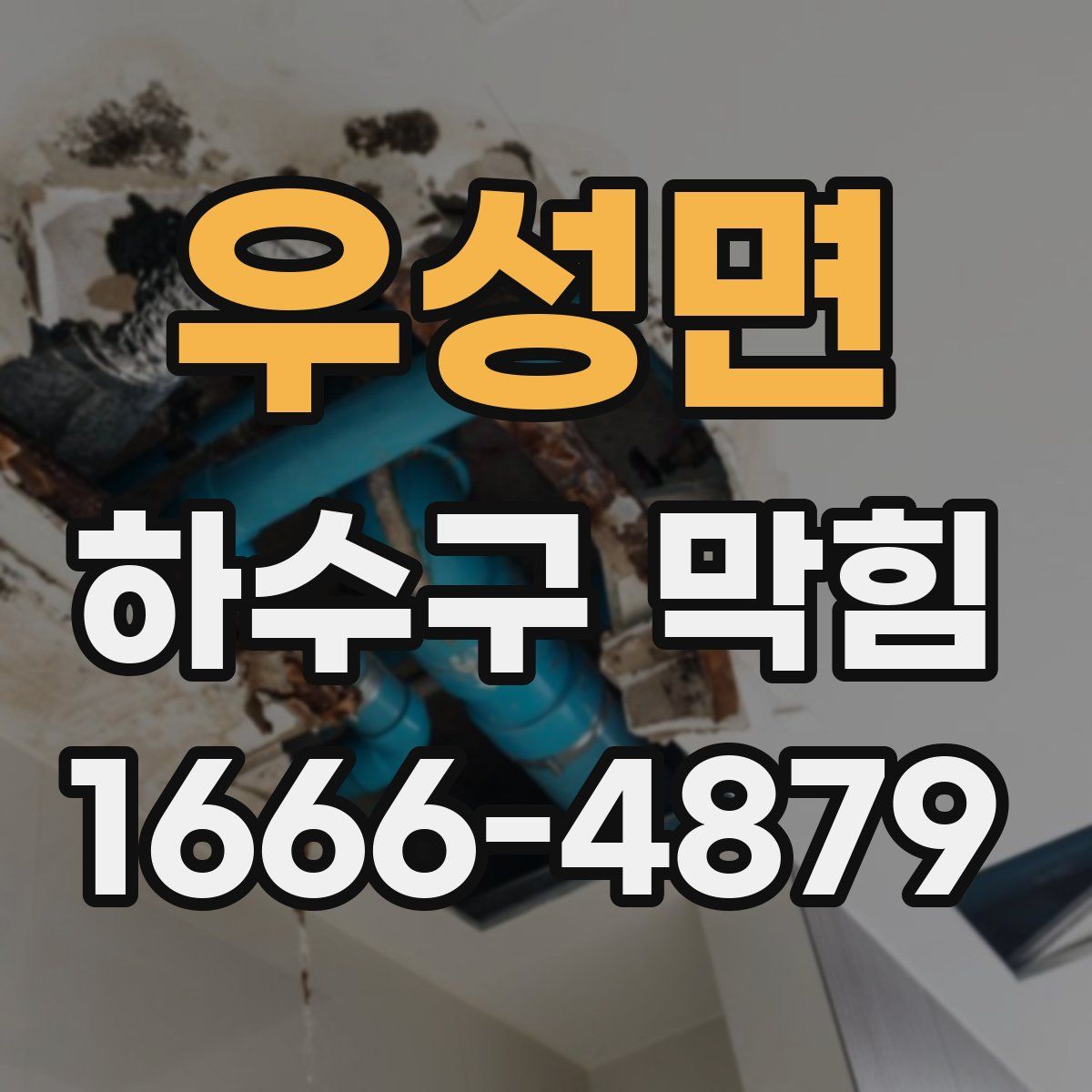 우성면 하수구 막힘
