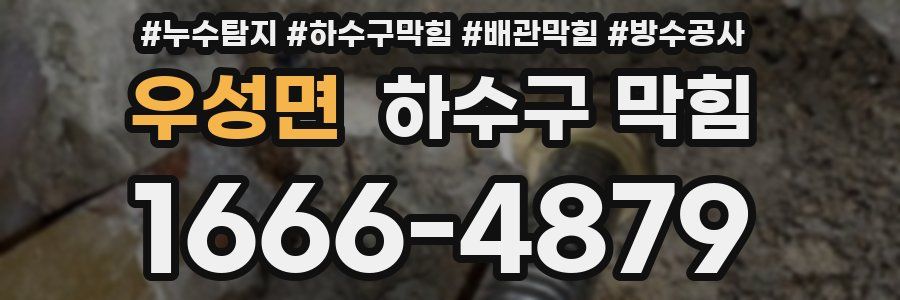 우성면 하수구 막힘