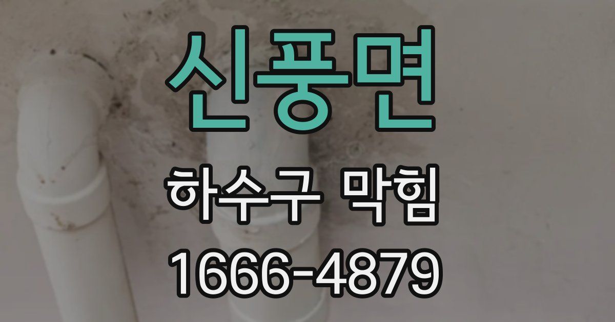 신풍면 하수구 막힘