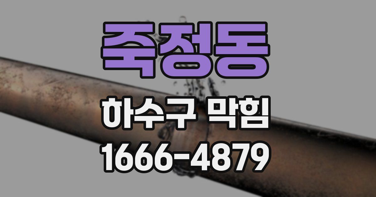 죽정동 하수구 막힘